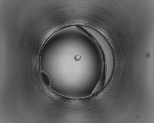 X0000090720850200708031459