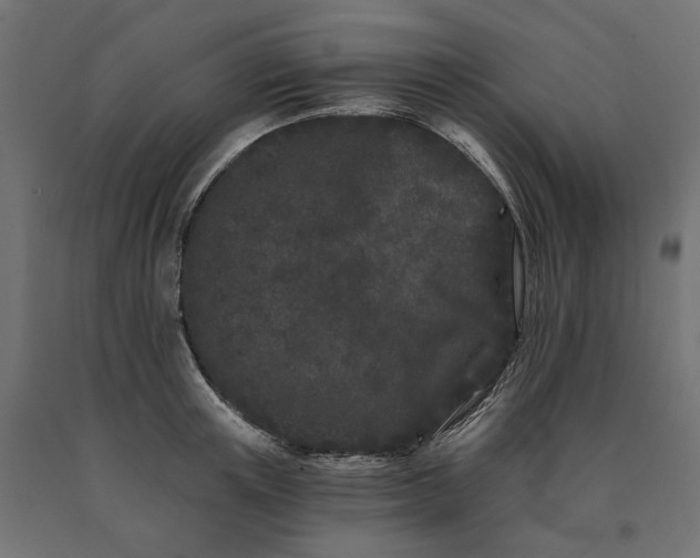 X0000090720851200708031459