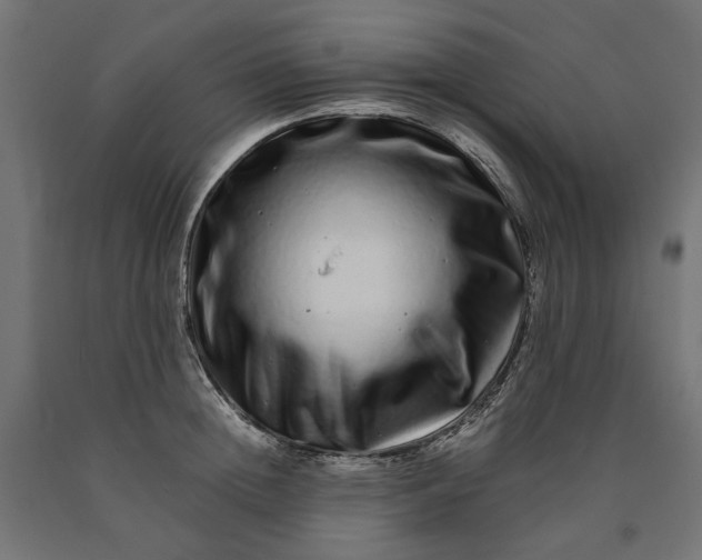 X0000090720852200708031459