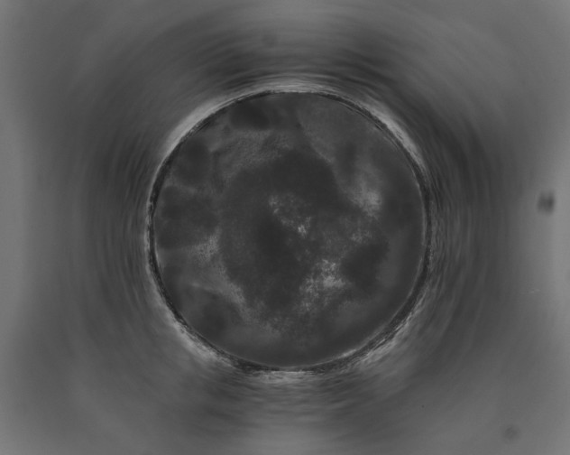 X0000090720853200708031459