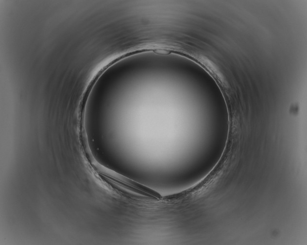 X0000090720854200708031459