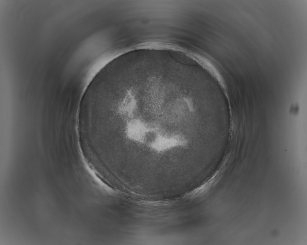 X0000090720855200708031459