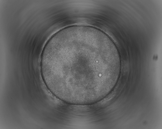 X0000090720856200708031459