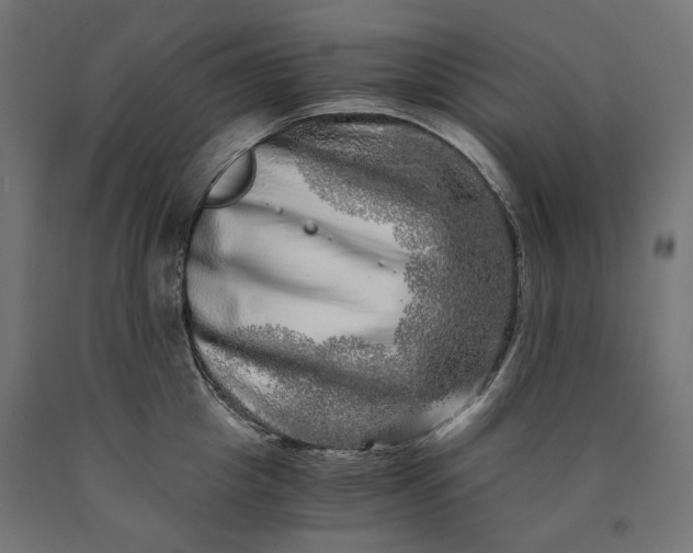 X0000090720857200708031459