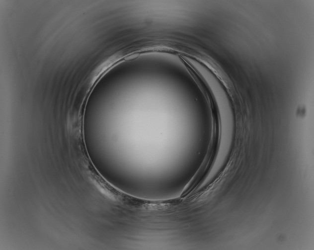 X0000090720858200708031459