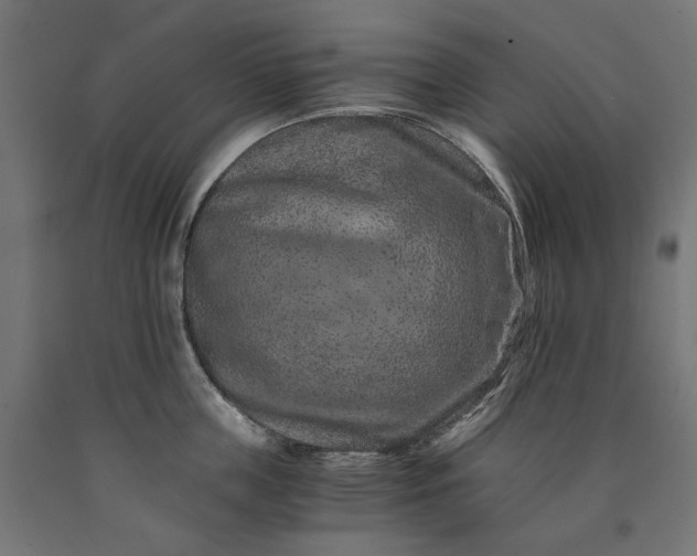 X0000090720859200708031459