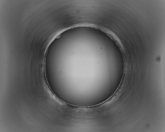 X0000090720860200708031459