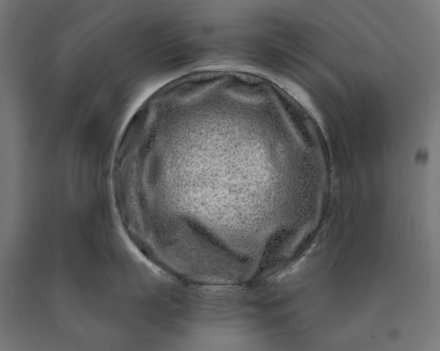 X0000090720863200708031459