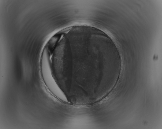X0000090720864200708031459