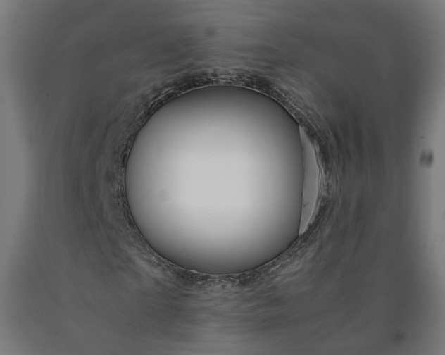 X0000090720865200708031458