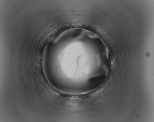 X0000090720867200708031458