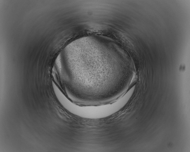 X0000090720868200708031458