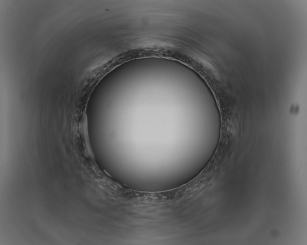 X0000090720869200708031458