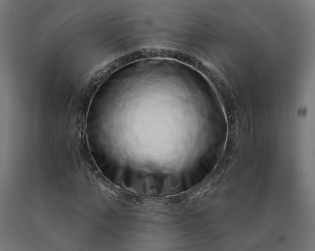 X0000090720870200708031458