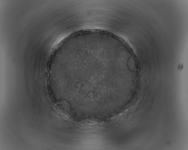 X0000090720871200708031458