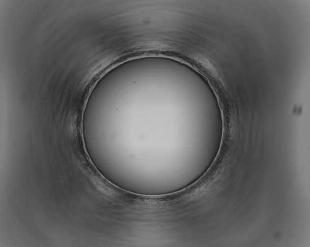 X0000090720873200708031458