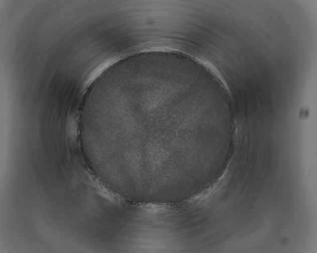 X0000090720874200708031458