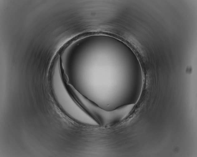 X0000090720876200708031458