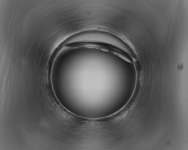 X0000090720877200708031458