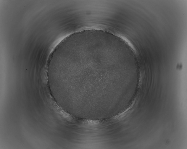 X0000090720878200708031458