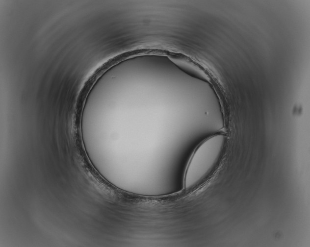 X0000090720880200708031458