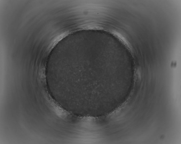 X0000090720881200708031458