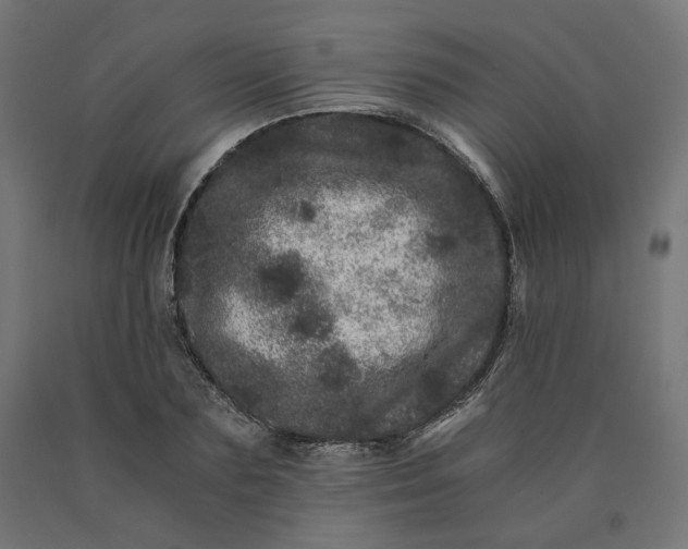 X0000090720883200708031458