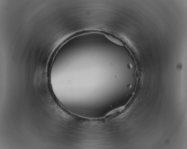 X0000090720884200708031458