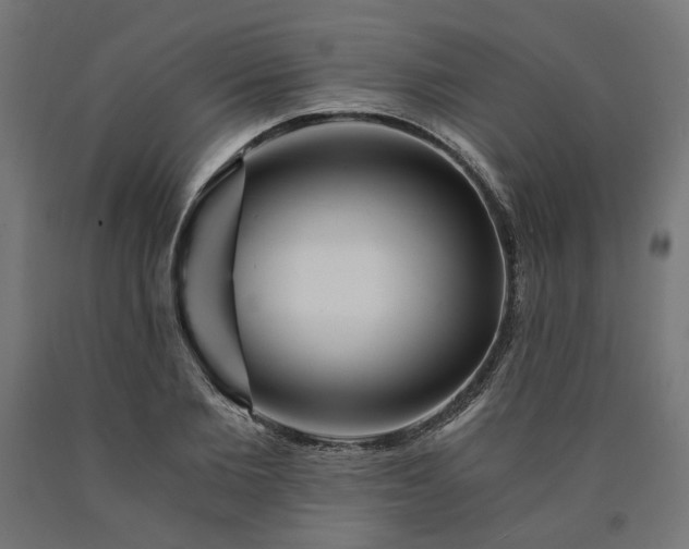 X0000090720885200708031458