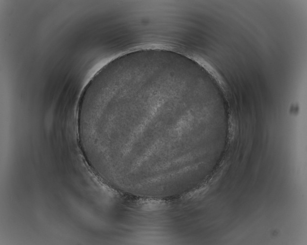 X0000090720886200708031458