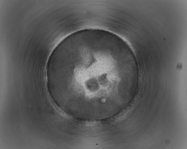 X0000090720887200708031458