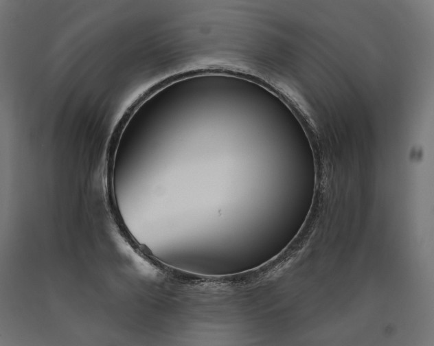 X0000090720888200708031458