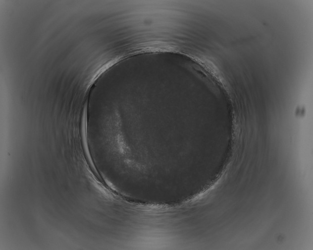 X0000090720889200708031458