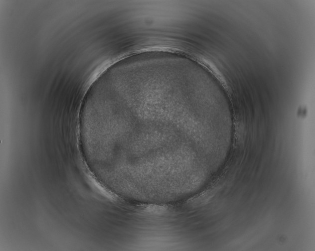 X0000090720890200708031458
