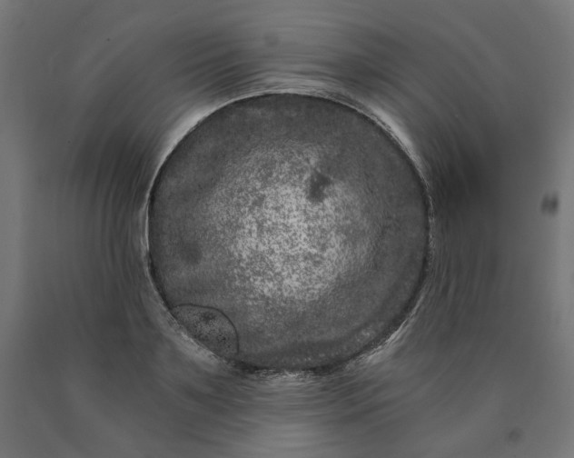 X0000090720891200708031458