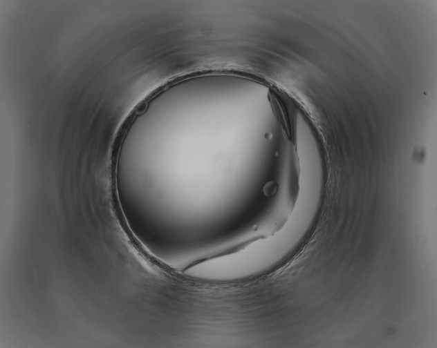 X0000090720894200708031458