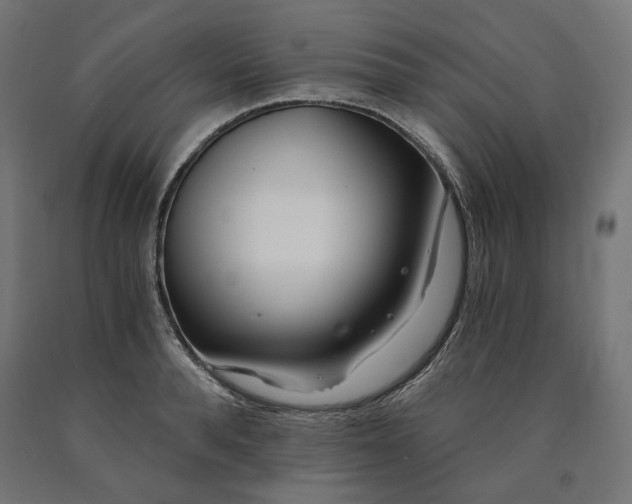 X0000090720896200708031458