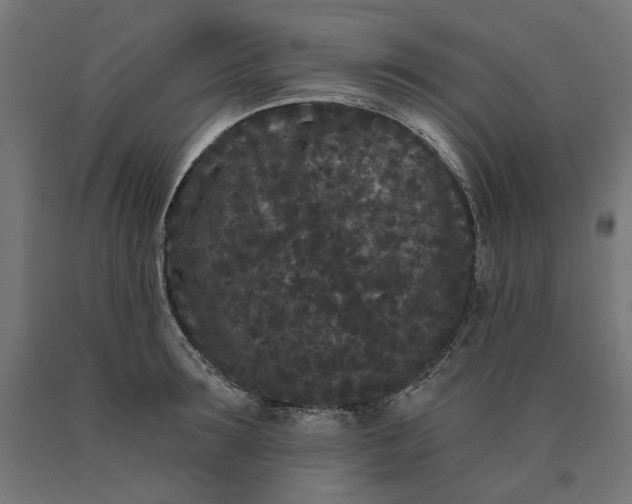X0000090720899200708031458