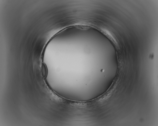 X0000090720900200708031458