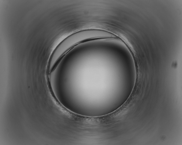 X0000090720901200708031458