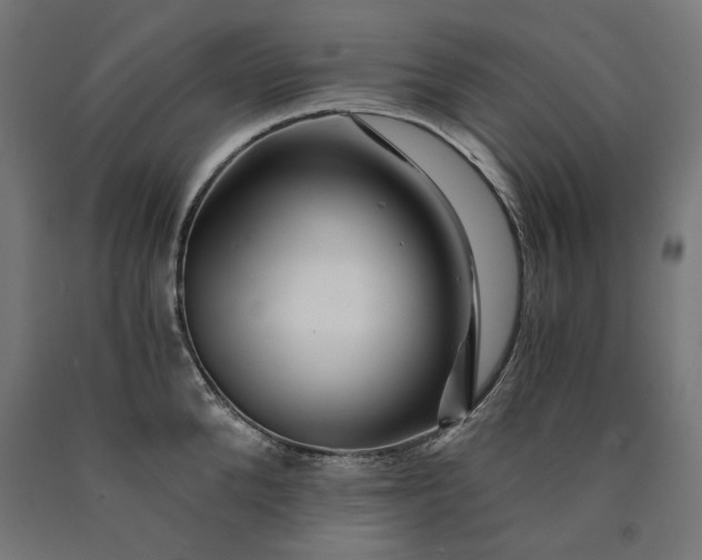 X0000090720904200708031458