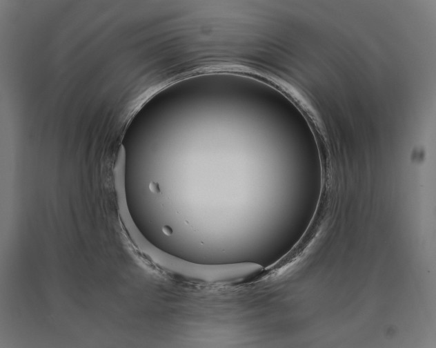 X0000090720905200708031458