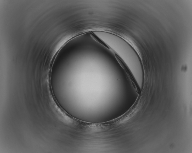 X0000090720906200708031458