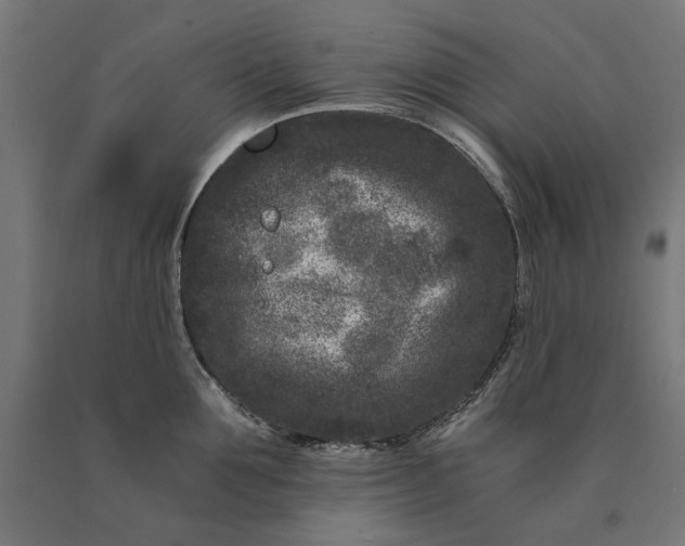 X0000090720907200708031458
