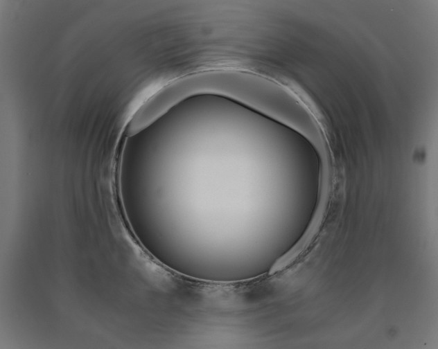 X0000090720909200708031458