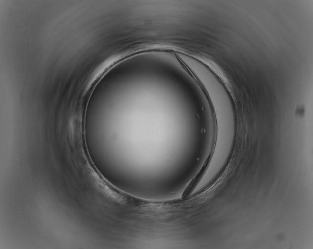X0000090720910200708031458
