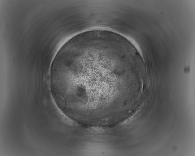 X0000090720911200708031458