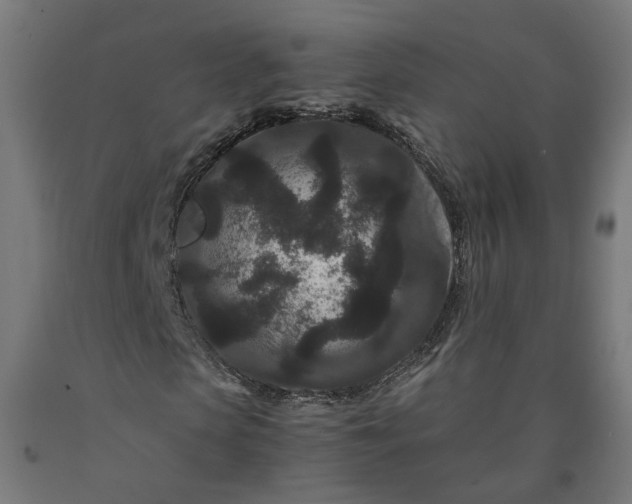 X0000090720913200708031457