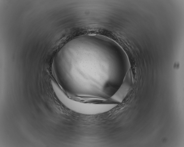 X0000090720916200708031457