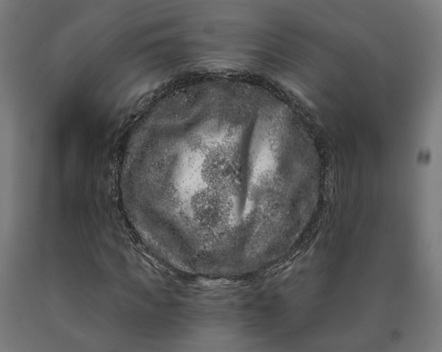 X0000090720917200708031457
